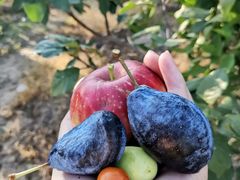 -北镇龙岗子生态园