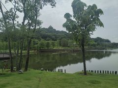 -王借岗森林公园