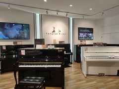 -柏斯琴行(汾阳店)