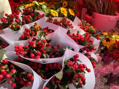 -越秀西湖花市(广州城市广场花卉店)