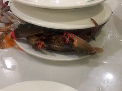 -春华海鲜城(广场西苑店)