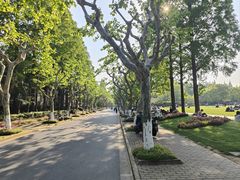 -复旦大学相辉堂