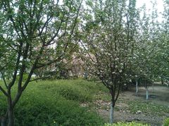 -北京大学第一医院(西城厂桥院区)