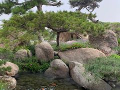 -罗红摄影艺术馆