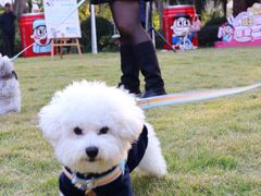 -上海神旺大酒店