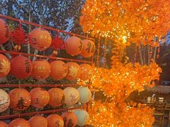 -后湖小院·乡野田园菜