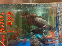 -惠食佳(滨江大公馆店)