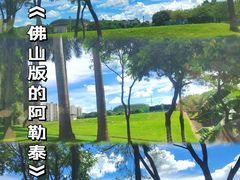 -美的鹭湖森林度假区