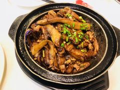 -清新鸡沙田乳鸽店(金融店)