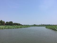 -白洋淀景区