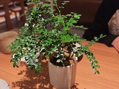 -CURRY YA 熟成咖哩專門店(深圳湾万象城店)