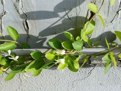 android_upload_pic-中国农业银行(北京回龙观东区支行)