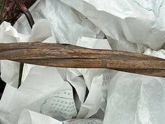 -马陆小张葡萄园农家乐