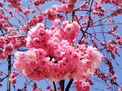 -名花谷生态庄园