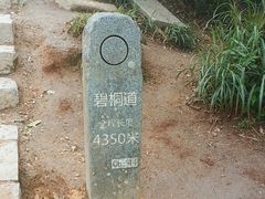 -梧桐山风景名胜区