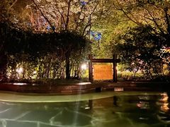 -东海森林温泉度假酒店
