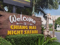 -清迈夜间动物园