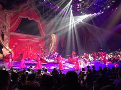 -珠海横琴长隆《卡卡虎奇遇记》