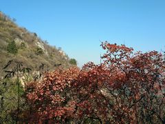 -北京鹫峰国家森林公园