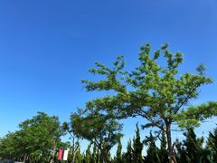-山东大学(威海校区)