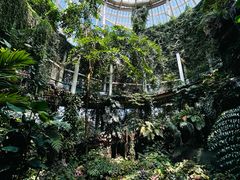 -昆明植物园