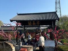 -辽代双塔