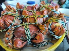 -七的湖·晚芳亭·阳澄湖农家菜·大闸蟹(莲花岛店)