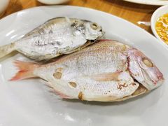 -长平肥姐白粥·海鲜打冷