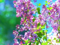 -哈尔滨师范大学(松北校区)