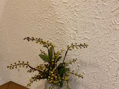 -猫爷的腔调·黔小馆(交大医学住宅区店)