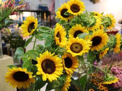 -双季花艺园艺市场(浦东店)