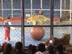 iphone_upload_pic-西安秦岭野生动物园