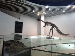-烟台自然博物馆