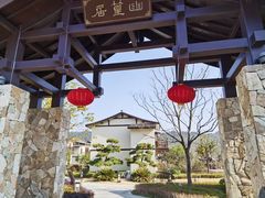 -大唐贡茶院