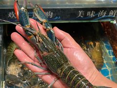 -熊记虾王·小龙虾(东晓南店)