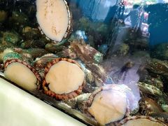 -王潮活海鲜自助·蒸汽海鲜