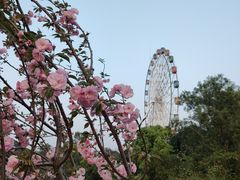 -观澜湖生态运动公社