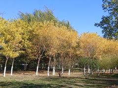 -南翠屏公园