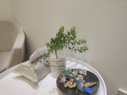 -F.N冻龄皮肤管理中心