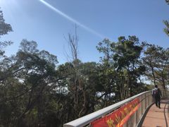 -仙岳公园