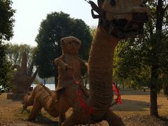 -溱湖国家湿地公园