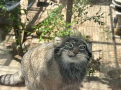 -青藏高原野生动物园