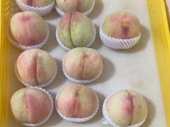 -老袁家蜜桃农场·阳山水蜜桃