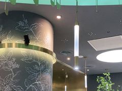 -青花椒花椒鱼(合生汇店)