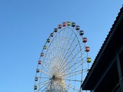-温州乐园