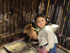 -太阳岛度假酒店