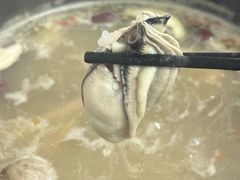 -花苑美食横琴生蚝火锅(拱北粤华路店)