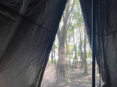 -广富林郊野公园