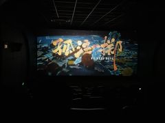 -金逸影城(武汉人信汇IMAX店)