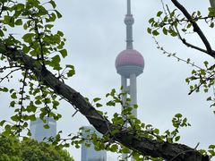 -Wolfgang’s Steakhouse 沃夫冈牛排馆(上海白玉兰广场店)